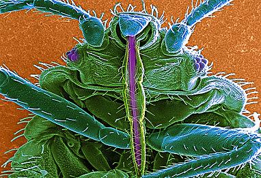 除旧换新 《星际公民》将淘汰游戏最早的空间站